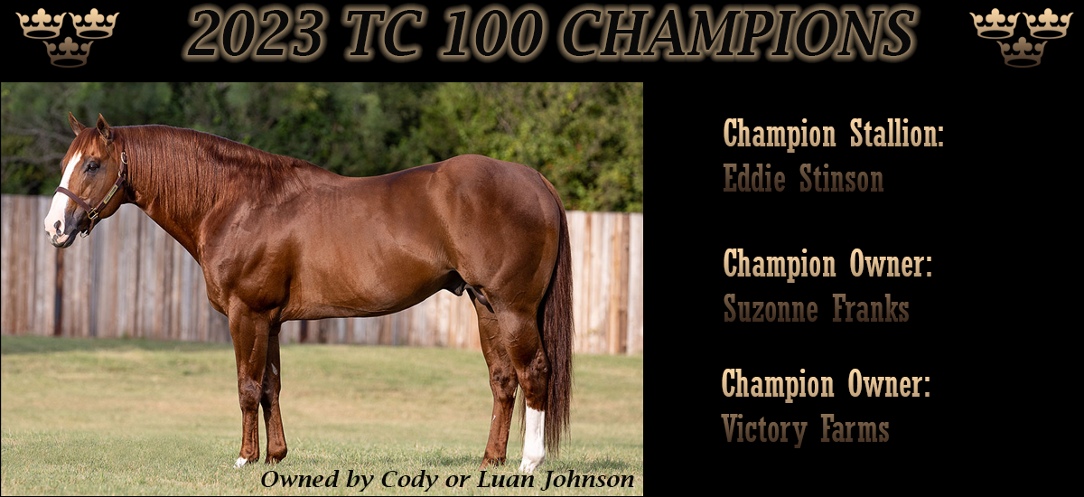 2023 TC 100 Champion Stallion